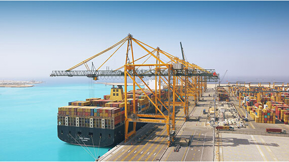 MSC KING ABDULLAH PORT TO PROVIDE CARGO CLEARANCE IN JUST 24 HOURS